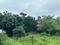 sai sew ashram Main Image 1