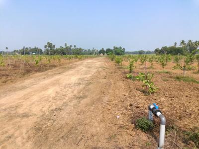 Kothavalasa Plot View 2