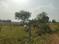 Kali Kheda Main Image 1