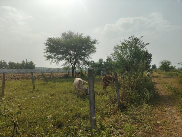 Kali Kheda Main Image 1