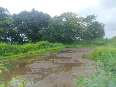 Residential Plot
