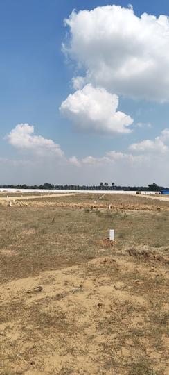 Sengipatti Main Image 1