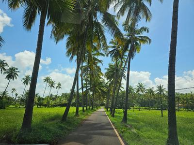 Image of 298 Sq.ft Residential Plot / Land for sale in Neura-O-Grande, Goa for Rs. 10500000
