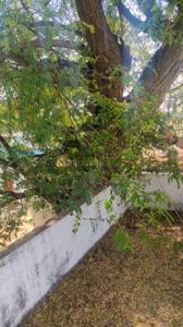 Image of 1450 Sq.ft Residential Plot / Land for sale in Horamavu, Bengaluru for Rs. 17400000