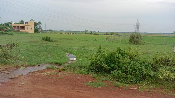 Patrapada Main Image 1