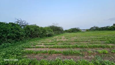 Image of 10000 Sq.ft Residential Plot / Land for sale in Becharaji, Mehsana for Rs. 5000000