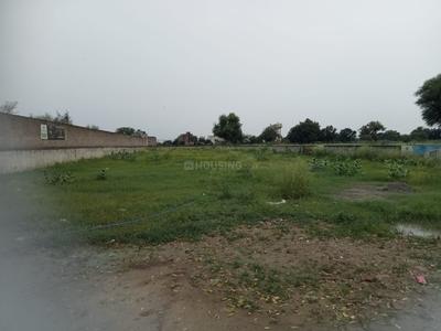 Image of 1035 Sq.ft Residential Plot / Land for sale in Chhata, Mathura for Rs. 1900000
