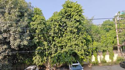 Image of 1200 Sq.ft 2 BHK Builder Floor for rent in Sector 46, Gurgaon for Rs. 40000