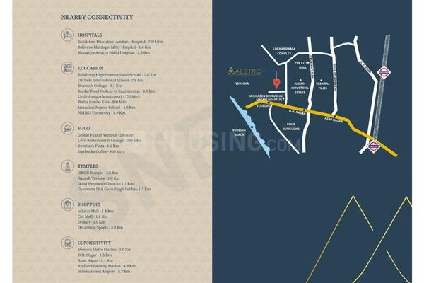 Maestro Main Image 1