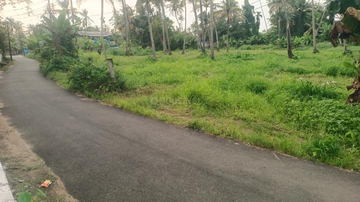 Koonammavu Main Image 1