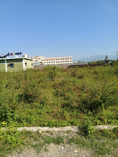 Doiwala Main Image 1
