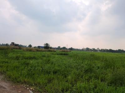 Wander Valley Plot View 2