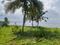 keralarealty Main Image 1