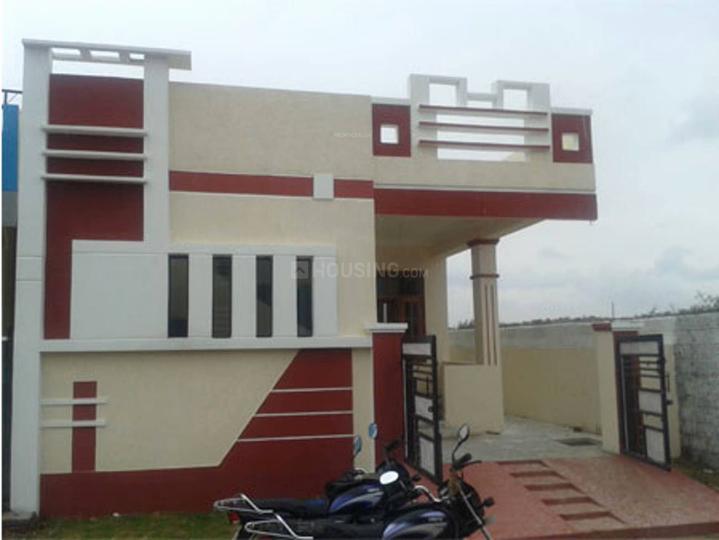 TAASA MEDORA Main Image 1