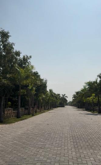 Natures Edge Main Image 1