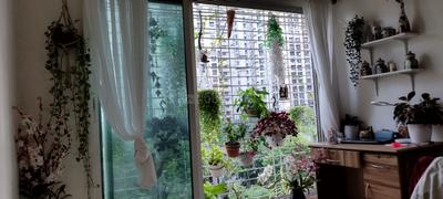 Living Room Image of 451 Sq.ft 1 BHK Apartment / Flat for sale in HDIL Dreams Co-operative Housing Society, Bhandup West Mumbai for Rs. 12500000
