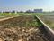 Pase 3 Plot View 2