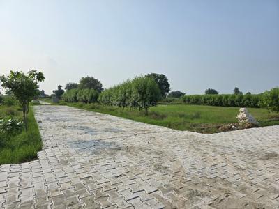 Image of 1350 Sq.ft Residential Plot / Land for sale in Jait, Vrindavan for Rs. 2700000