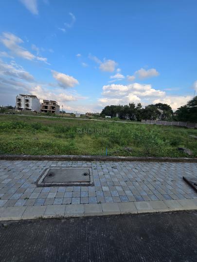 Excellent Premier Exotica Main Image 1