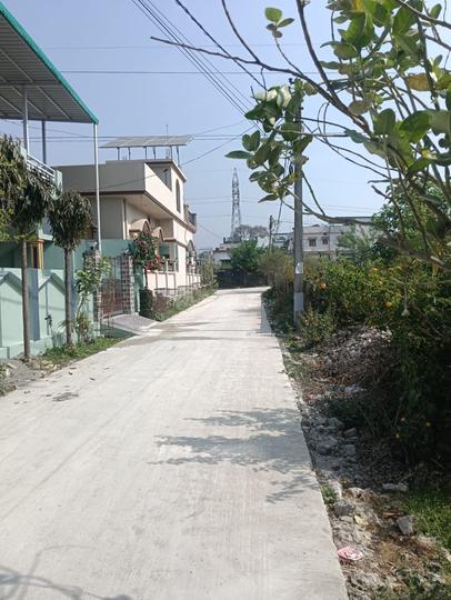 Harrawala Main Image 1