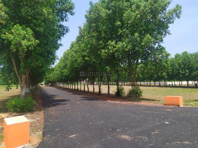 Residential Plot