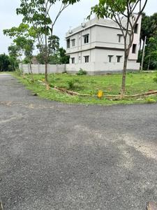 Sree Laxmi Narasimha nagar Plot View 3