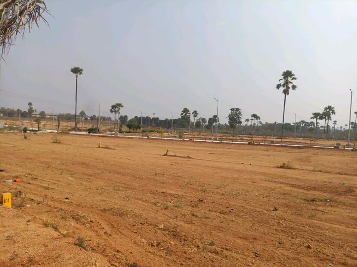 SGD Elite Main Image 1