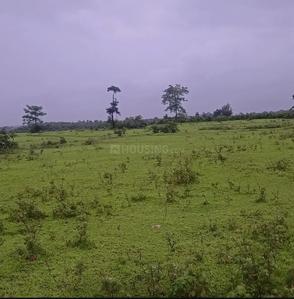 Image of 59895 Sq.ft Residential Plot / Land for sale in Murbad, Thane for Rs. 9350000