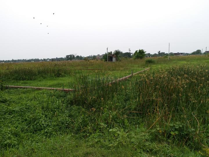 Kalikapur, EM Bypass Main Image 1