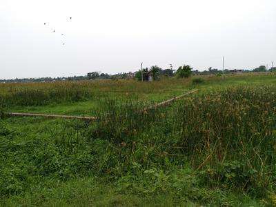 Prince Park Plot View 1