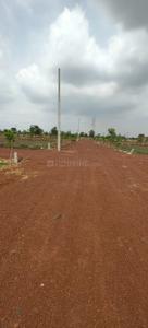 Image of 10000 Sq.ft Residential Plot / Land for sale in Amleshwar, Raipur for Rs. 7210001