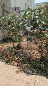 Image of 1440 Sq.ft Residential Plot / Land for sale in Horamavu, Bengaluru for Rs. 18000000