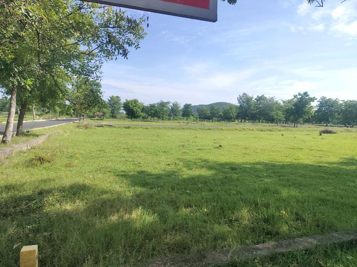 Fortune Main Image 1