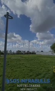 Bottle Greens Plot View 2