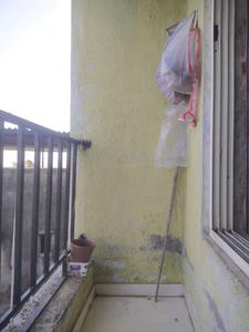 Bedroom Image of 440 Sq.ft 1 RK Apartment / Flat for sale in Virar East Virar for Rs. 1580000