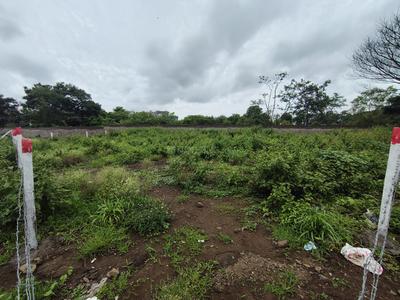 Pimpri PCMC Ews Kiwale Plot View 2