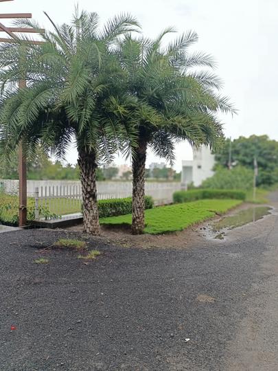 Ponmar On main Road Plots Main Image 1