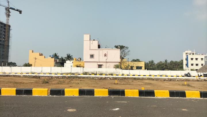 golden Aura garden Main Image 1