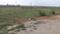 Patrapada Main Image 1