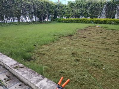 Image of 1500 Sq.ft Residential Plot / Land for sale in Aarone County Walk Plots, County Walk Township, Indore for Rs. 8550000