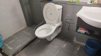 Bathroom Image of 700 Sq.ft 1 BHK Apartment / Flat for sale in Viridian The Longevity Project At Plaza 106, Sector 106 Gurgaon for Rs. 6500000