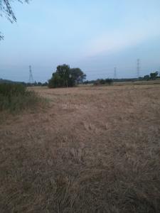 Agricultural Land
