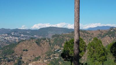 Image of 2160 Sq.ft Residential Plot / Land for sale in Mukteshwar, Nainital for Rs. 4500000