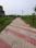Nest Valley Internal Roads 1
