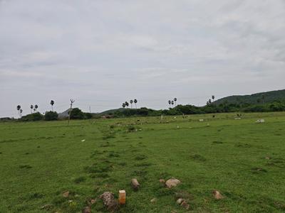 Image of 690 Sq.ft Residential Plot / Land for sale in Singaperumal Koil, Chennai for Rs. 1034310