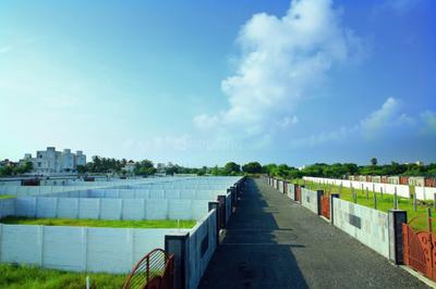 Residential Plot