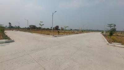 Pati Plot View 1