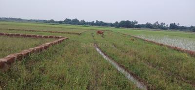 Image of 1200 Sq.ft Residential Plot / Land for sale in Nachhipur, Saindha, Cuttack for Rs. 1500000