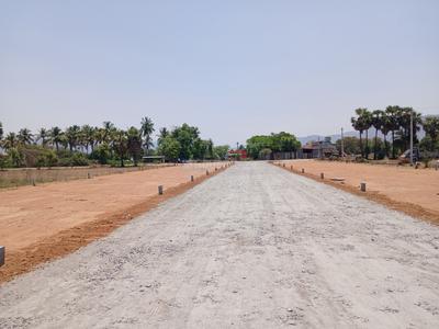 Residential Plot