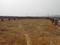 Firefly  Plot View 2